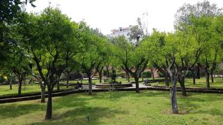 Apartment with sea view A - Vico Equense - 3