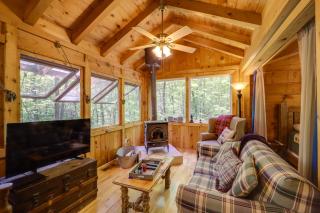 Marion Cabin with Hot Tub, On-Site Nature Trails! - Marion - 8