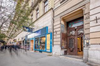 Quiet Central Studio - Budapest - 4
