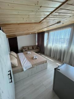 Tskhumi Apartment - Kutaisi - 9