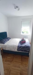 Apartman Comfort Beograd - Belgrado - 8