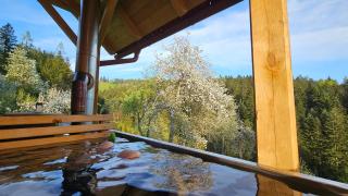 Cottage Golenovo - Podvelka - 4