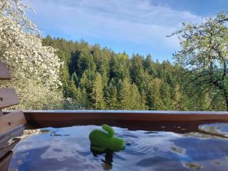 Cottage Golenovo - 3