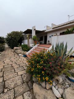 Nettuno 2023 - Marina di Ragusa - 6