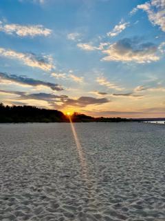 Exclusive Baltic Getaway Stylish Neptun Park Flat with Forest and Park Views by PolandBnB - 0