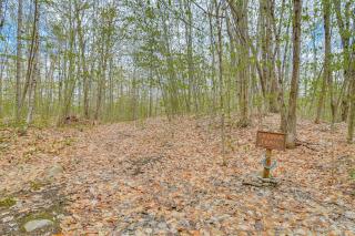 Charming Lovell Cabin - 7 Mi to Kezar Lake! - Lovell - 8