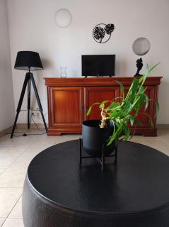 Appartement rez de jardin avec terrasse - Saint-Jean-de-Braye - 4