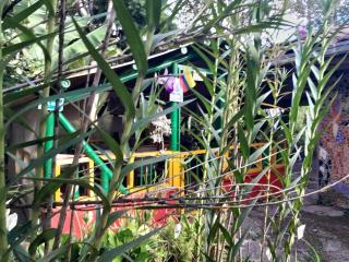 Finca la Divisa. Senderos de la Montaña - 4