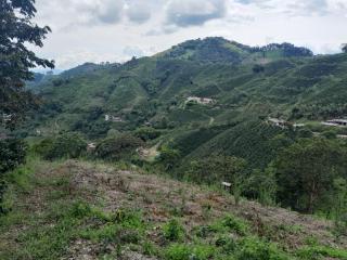 Finca la Divisa. Senderos de la Montaña - San Vicente - 3
