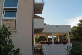 Apartments Radmila - 0