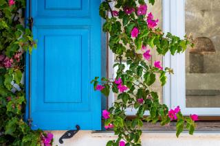 Villa Daphne - Skopelos - 7