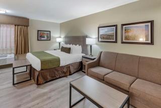 Best Western Inn of Brenham - Brenham - 1
