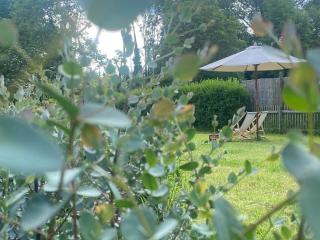 Schockelgaul – Parterre - 5