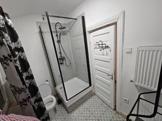 Private room at Ceausescu's place in Old City Unirii Square - Bucarest - 5