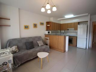 Apartamento con terraza a 150 m de la playa de Grifeu, ideal para 4 personas - ES-228-50 - 1