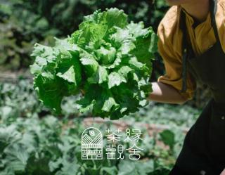 茶緣觀舍民宿 - Fanlu - 3