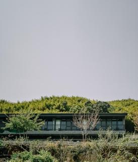 茶緣觀舍民宿 - Fanlu - 6