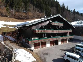 Studio 4 pers avec balcon à 600m des remontées mécaniques, parking et animaux admis - FR-1-676-81 - Châtel - 5