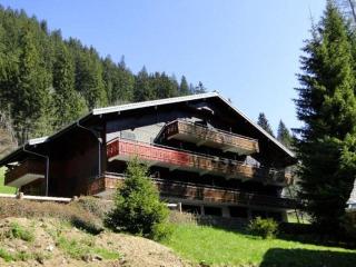 Studio Confortable à Châtel - 4 Pers., Balcon Sud, Proche Remontées Mecaniques - FR-1-676-50 - Châtel - 1
