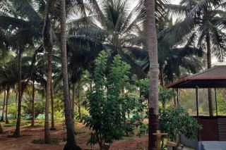 Stanrose Farm Stay - Kundapur - 9