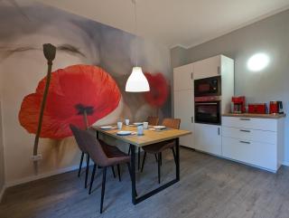 Apartments Goldgrube Dachgeschoss - Coblença - 7