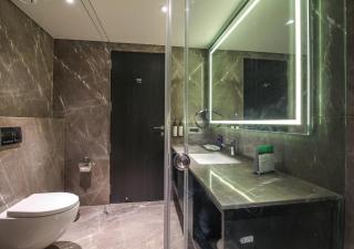 Essentia Premier Hotel Pune Wakad - Pune - 1
