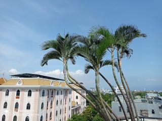 Haka Boutique Hotel - Da Nang - 4