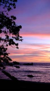 Lynn Resort Carita - Sukarame - 5