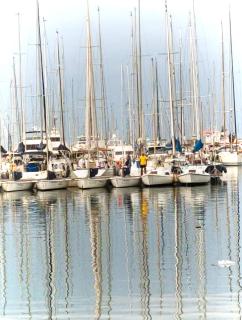 Casa Anita In centro - 8