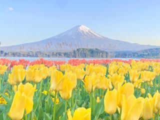 HAOSTAY河口湖美術館前. - Fujikawaguchiko - 5