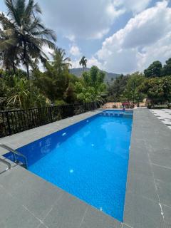 Bougainville - Kalpetta - 9