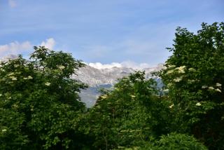 Apartment JANG - Tolmin - 4