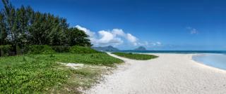 Beach Bliss Bungalow - 7