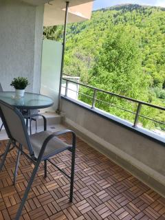 Blue Forest Studio - Sinaia - 9