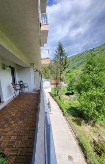 Blue Forest Studio - Sinaia - 8