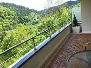 Blue Forest Studio - Sinaia - 7