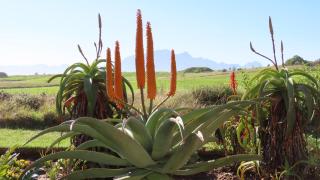 Oubaai Ocean View Private Self catering rooms Herolds Bay - 2