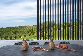 Unique Villa VISTA VERDE on idyllic location - Nova Vas - 3