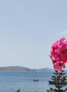 VILLA MARGARIT Boutique Hotel - Saranda - 1