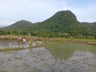 Tado Homestay - Limbung - 5