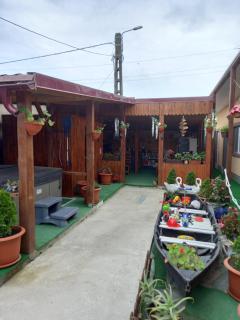 Casa Tulceanu - 9