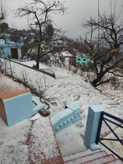 Kafal Pako - 3