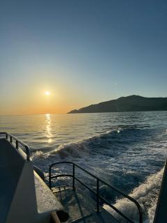 Hydra's View - Hydra - 1