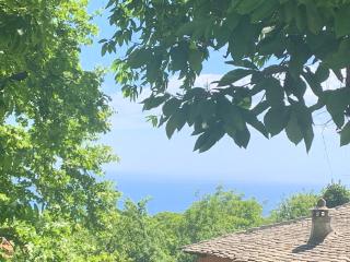 Pelion 7 Lives - Tsagarada - 0