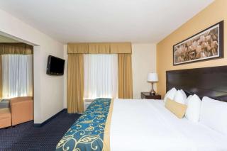 Wingate by Wyndham Houma - Houma - 2