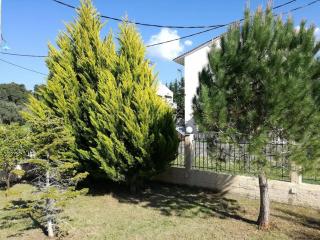 Rent your own house in Pefki/Evoia. - Pefki - 7