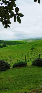 Agriturismo Bagnaia - San Quirico dʼOrcia - 8