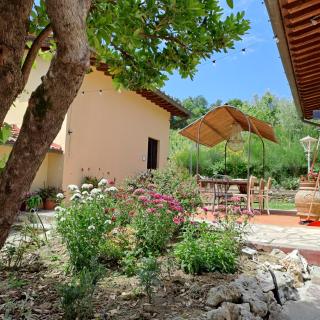 Guest House Torre Guelfa,Giaggiolaia Via San Martino Altoreggi 20 - Figline Valdarno - 6