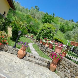 Guest House Torre Guelfa, Vinsantaia - Figline Valdarno - 6