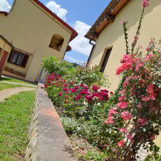Guest House Torre Guelfa, Vinsantaia - Figline Valdarno - 5